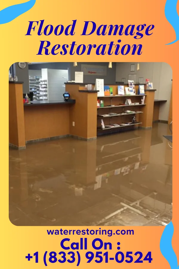 Flood Damage Restoration in Panther, KY