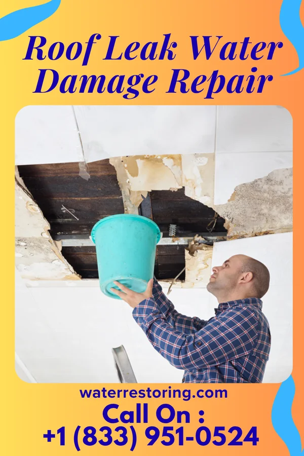 Roof Leak Water Damage Repair in Panther, KY