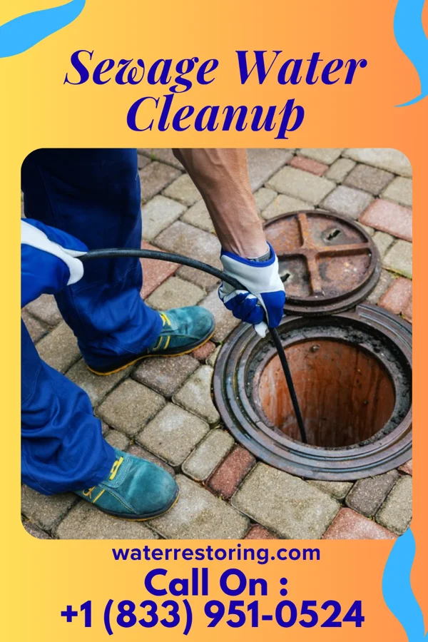 Sewage Water Cleanup in Panther, KY